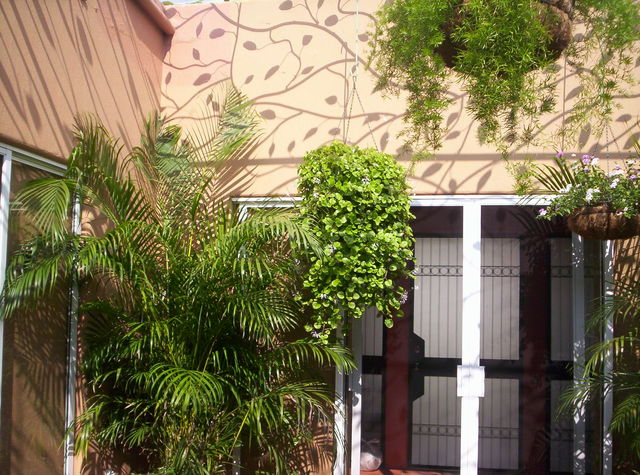 Protección cielo enrramada  2