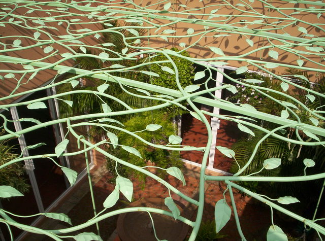 Protección cielo enrramada
 9
