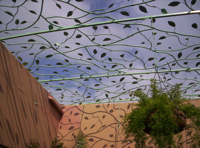 Protección cielo enrramada 1